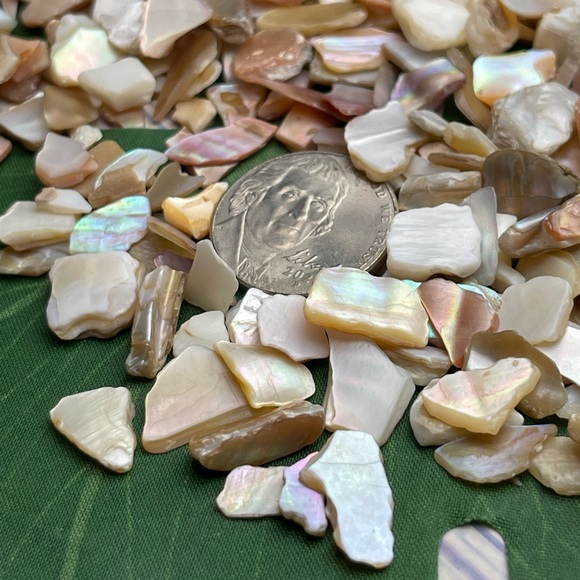 BULK Real Mother of Pearl & Abalone PCs crafting jewelry inlays beads mosaics… - Picture 13 of 16